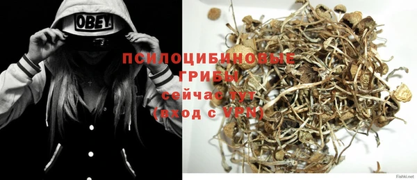 круглые Алексеевка