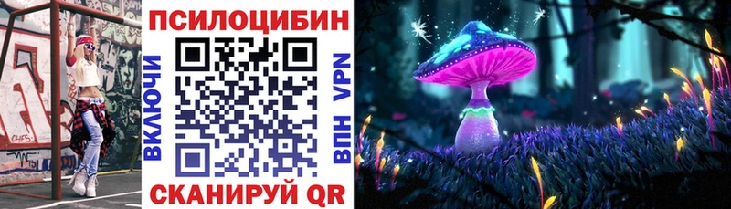 МЕГА зеркало  хочу   Жуковский  Псилоцибиновые грибы мицелий 